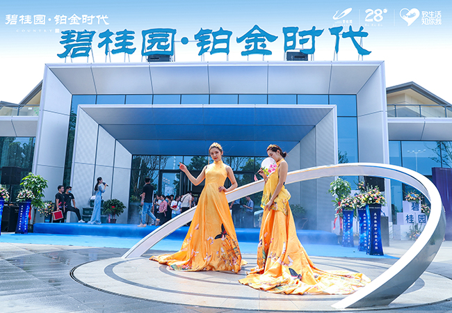碧桂園鉑金時代（全過程造價咨詢）